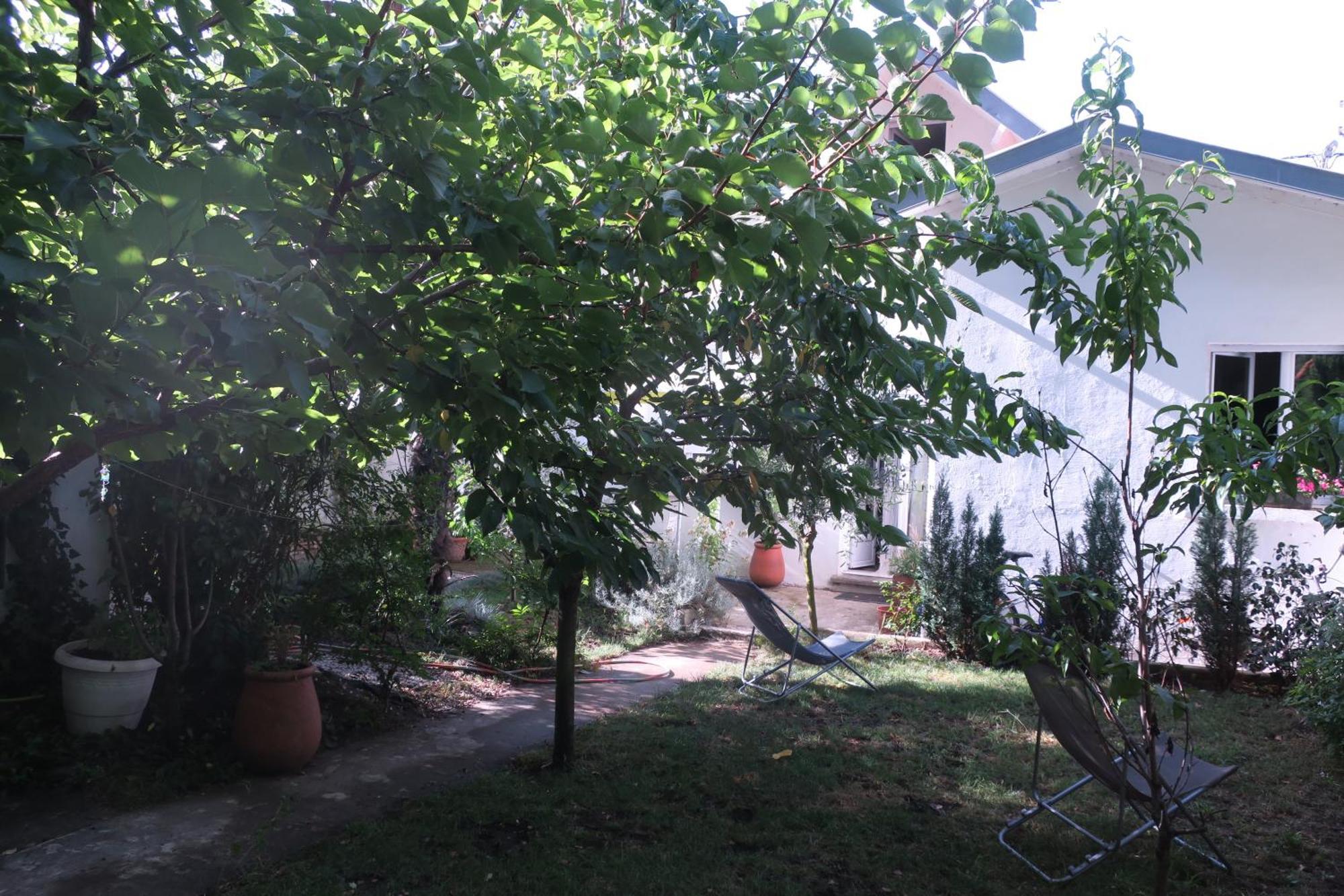 Toulousaine Arboree - Parking Public Homestay *